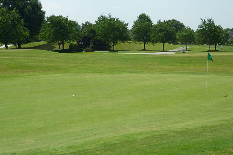 view of golf course green